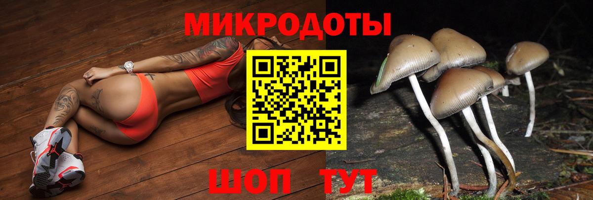 Галлюциногенные грибы Psilocybe  наркошоп  Минеральные Воды  Псилоцибиновые грибы Magic Shrooms  Вход с VPN 